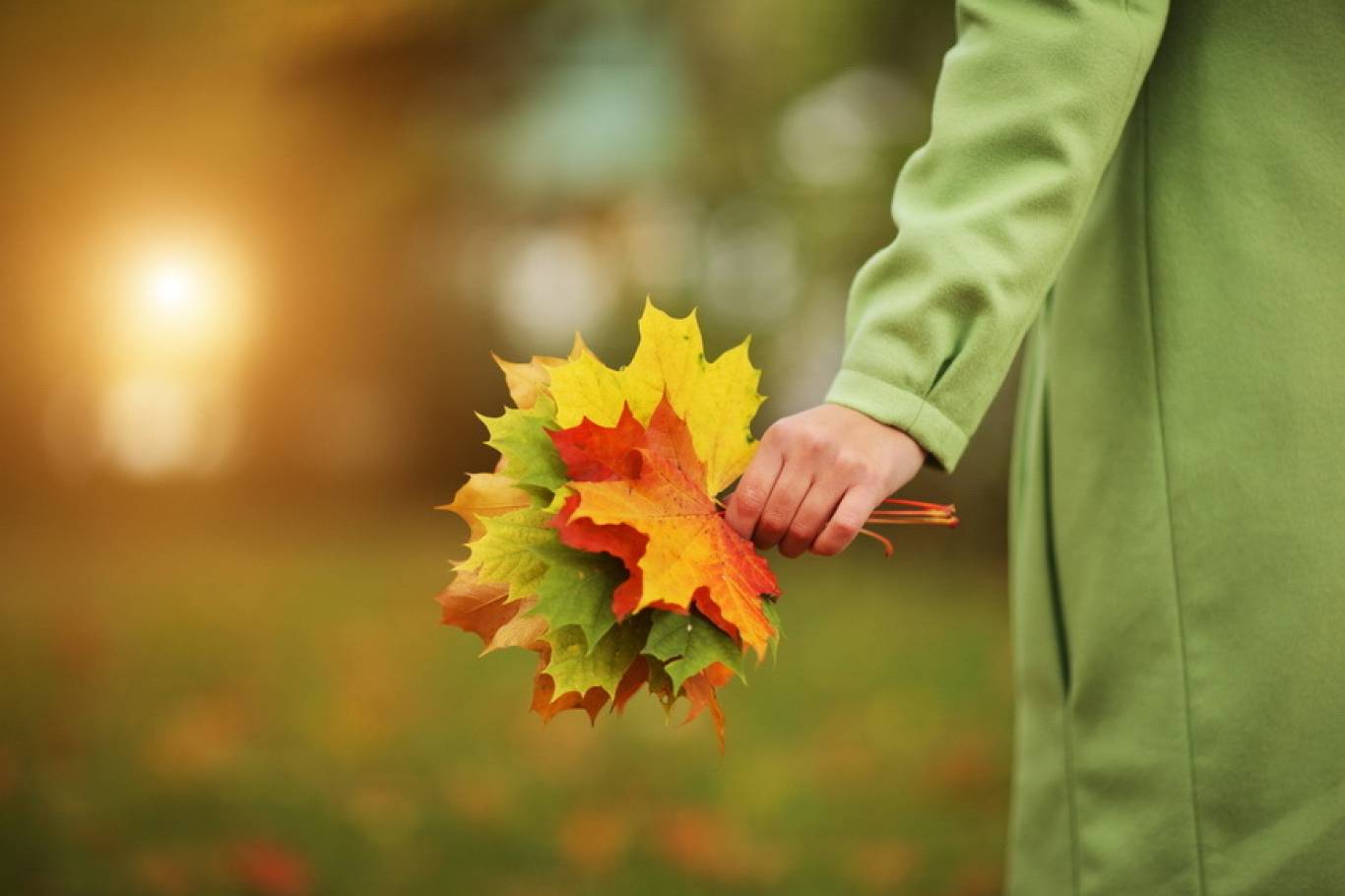 ТОП-11 ЖОВТНЯ. Найяскравіші події, які варто відвідати
