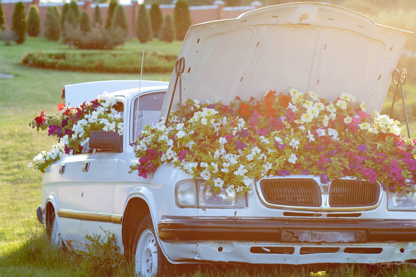 Куди поїхати на півночі України