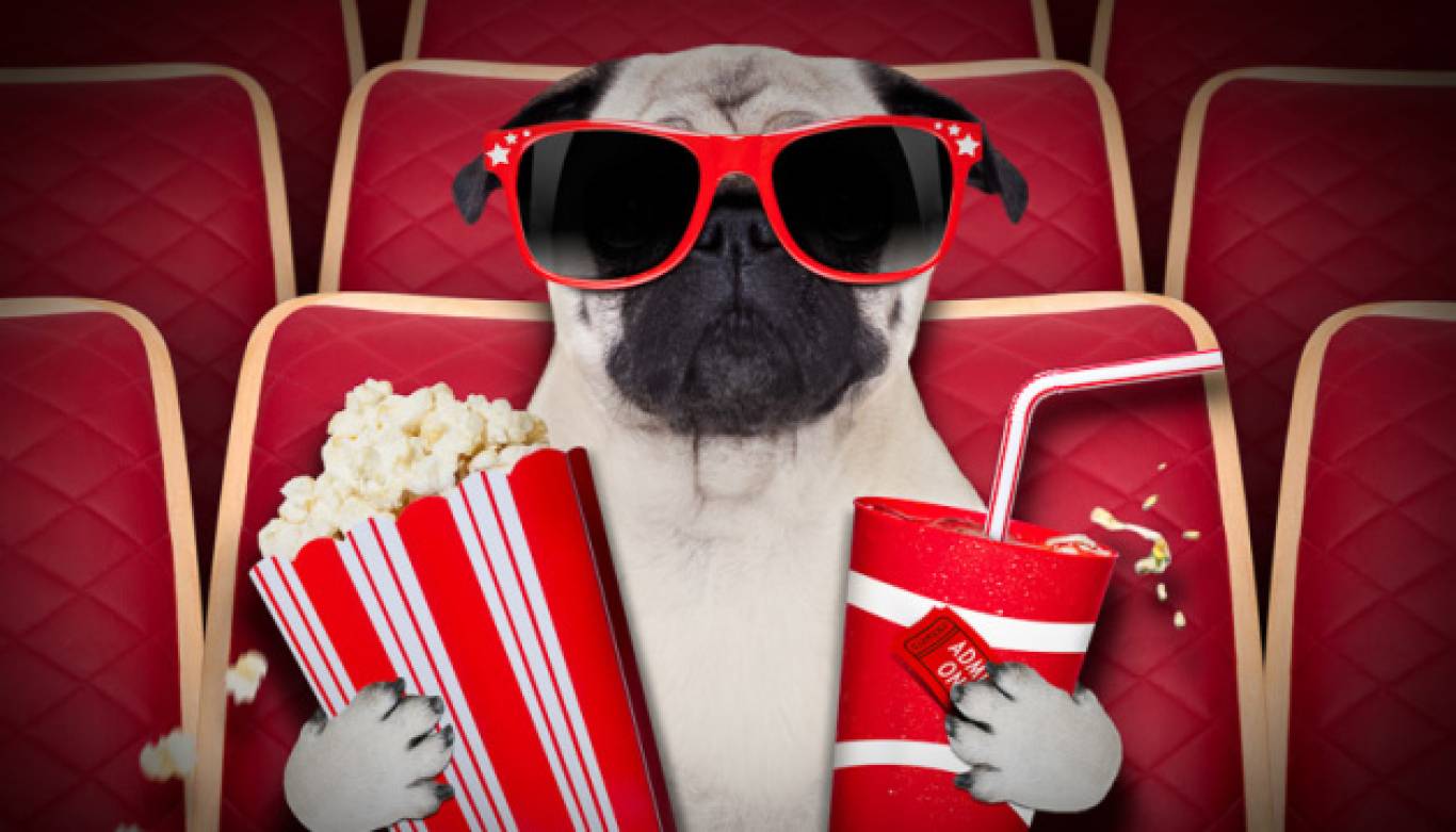 Тест: Вгадай фільм по уривку із кінофільму