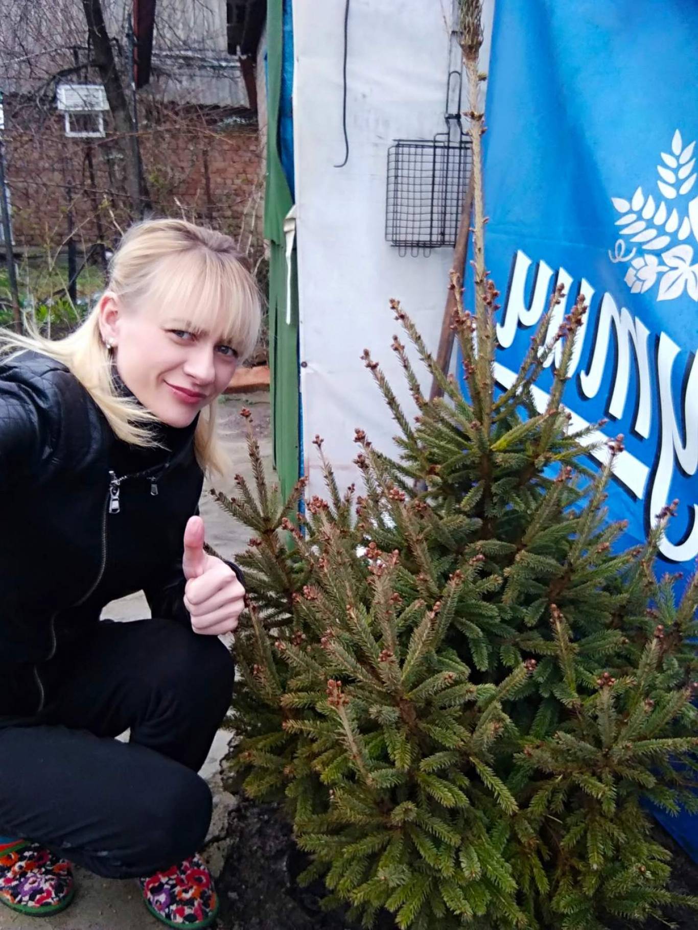 Озеленення міста разом з "Файно маркет"