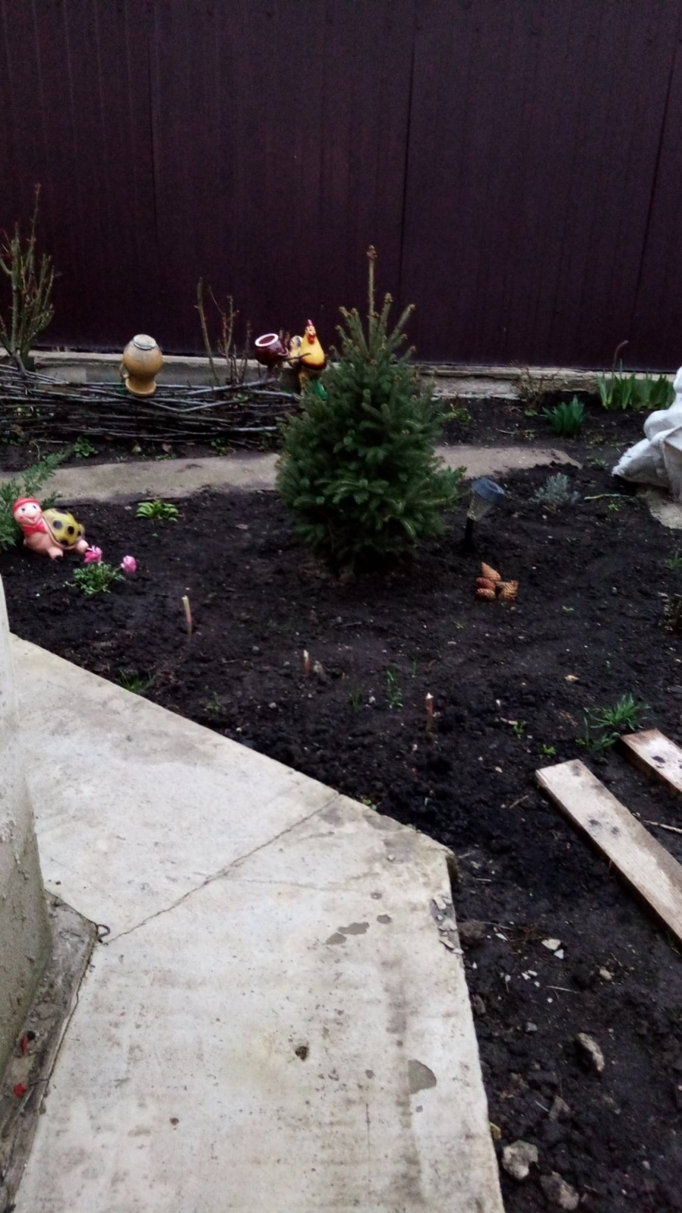 Озеленення міста разом з "Файно маркет"