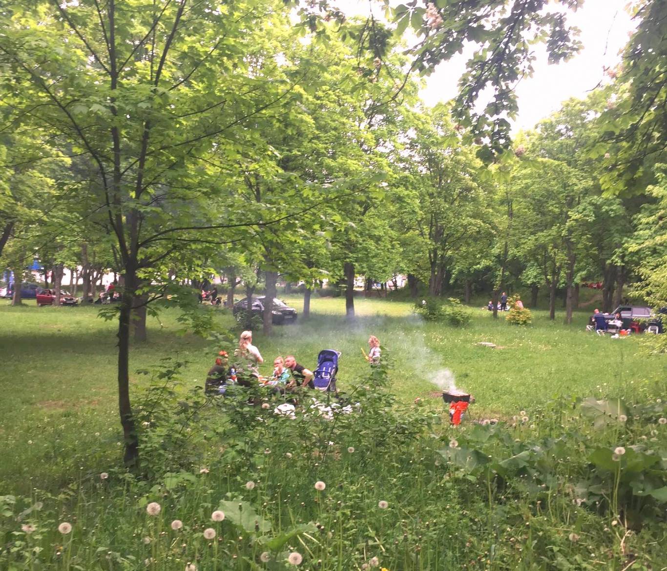 Найкращі місця для пікніків  та відпочинку на свіжому повітрі у Вінниці та поблизу міста