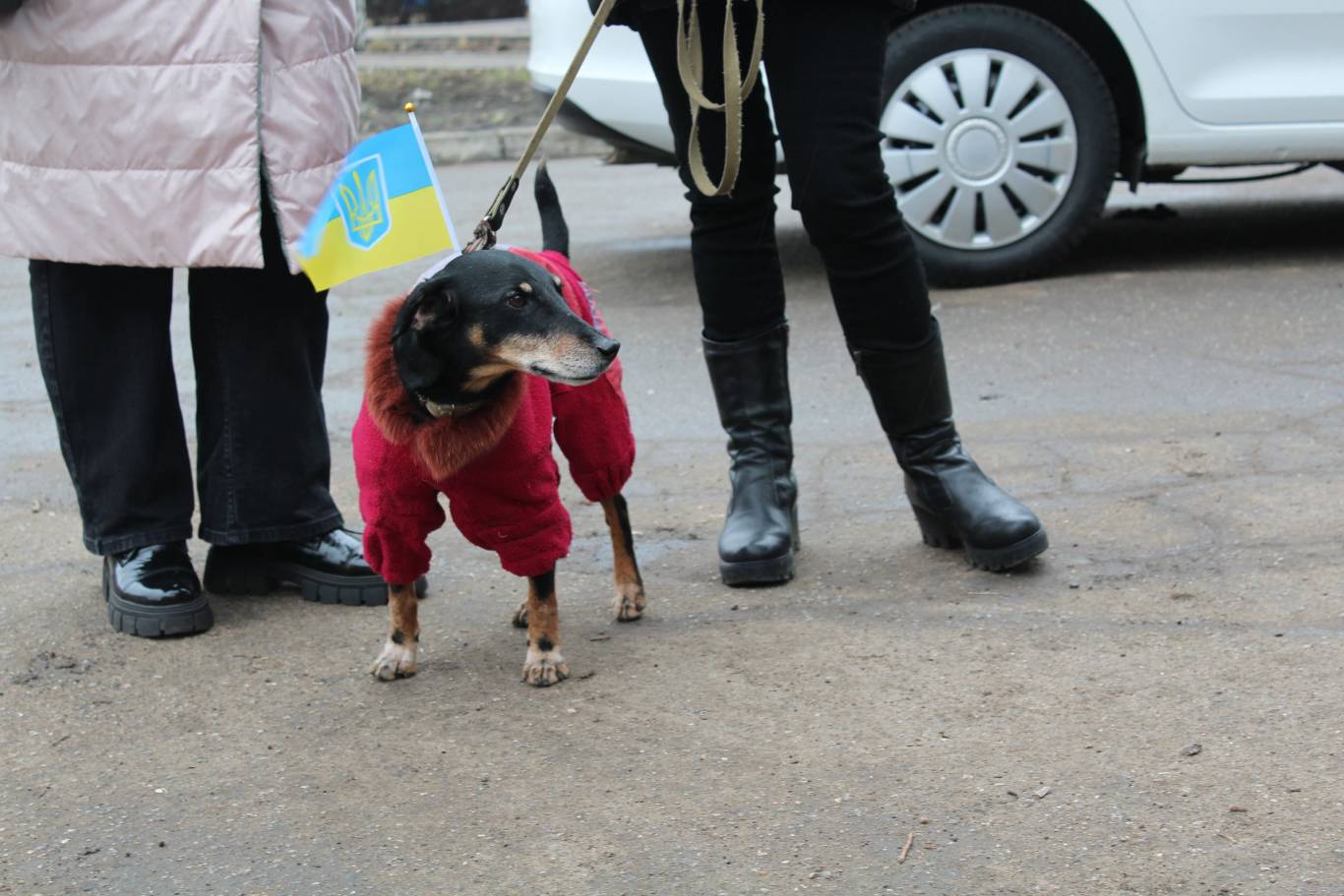 Святкування Дня єднання