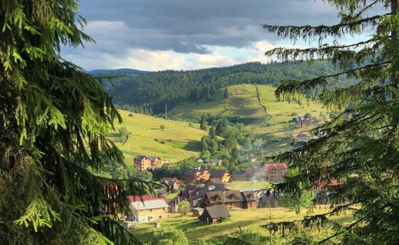 Знайомство з фауною Карпат