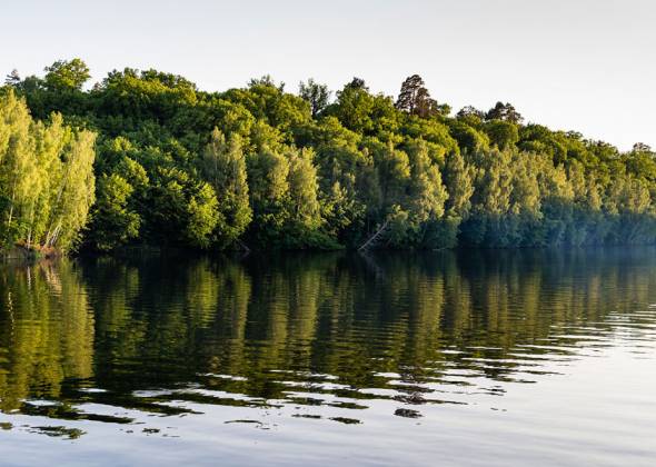 16 фактів про Житомир та Житомирську область