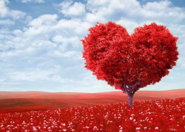 Романтичні місця України - тест до дня всіх закоханих