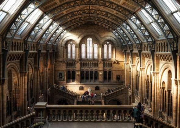 8 варіантів для віртуальної екскурсії