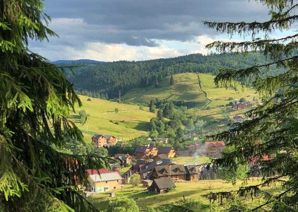 Знайомство з фауною Карпат