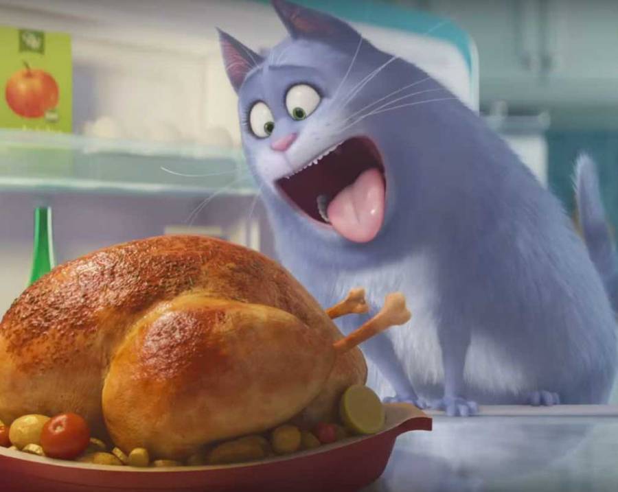 Пройди тест та дізнайся - яка ти тваринка із "Секретів домашніх тварин"!