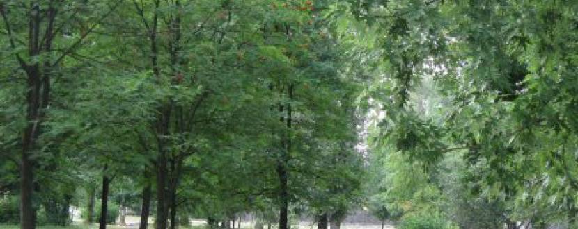Проект "Київські парки": розпис входу парку "Наталка" на Оболоні