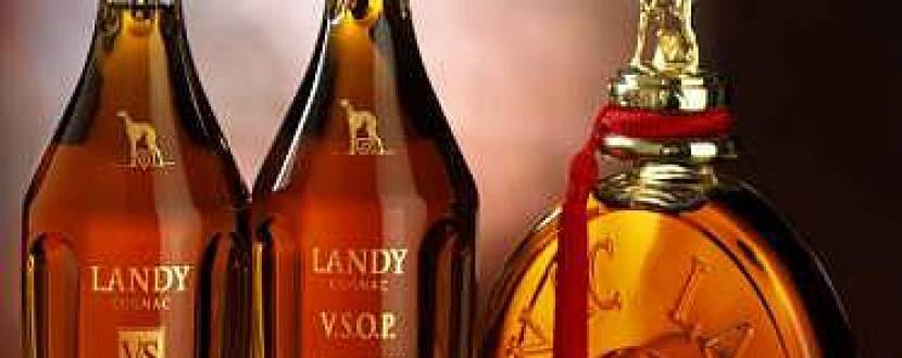 Лекція-дегустація вин та коньяків ТМ Cognac Ferrand