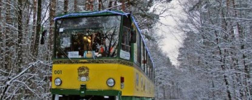 Екскурсія в трамваї-кав'ярні у Пущу-Водицю