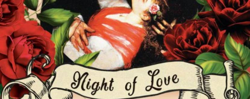 Вечірка Night of love