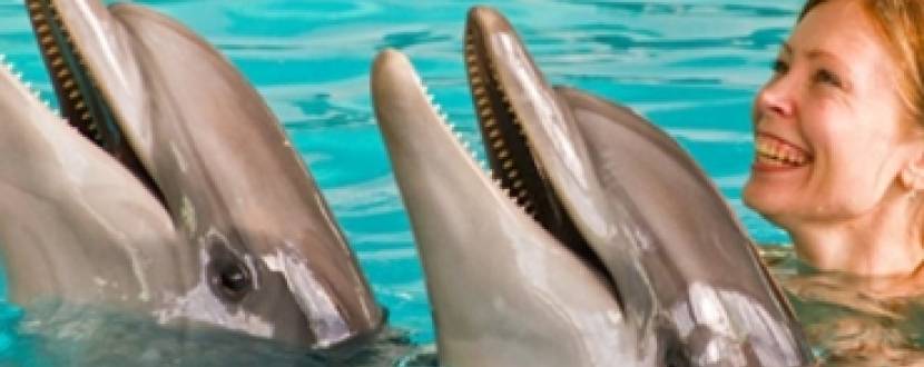 Відвідаємо дельфінарій у м. Хмільник  20 березня