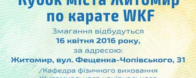 Кубок міста  Житомир по карате WKF
