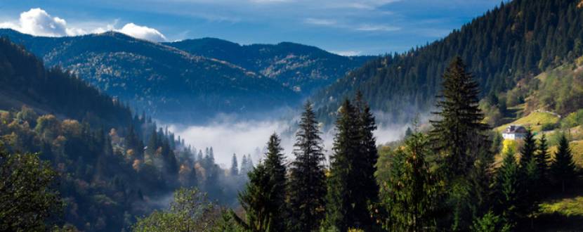 Закарпатье:Фестиваль вина Божоле 2016 + Термальные воды