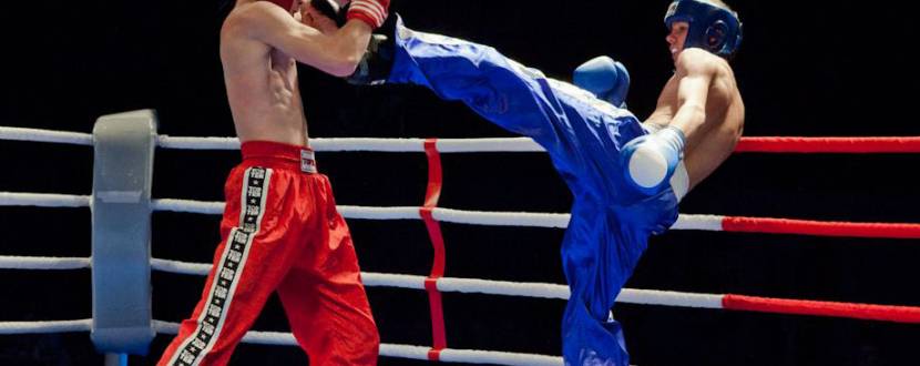 Турнір з кікбоксінгу "Пам'яті героїв АТО 2016"