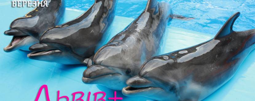 Трускавецький дельфінарій + Львів