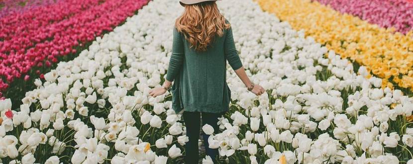 Фестиваль тюльпанів "Таємниці Великодньої Писанки"