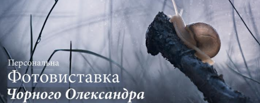 Виставка  Олександра Чорного: «Споглядати серцем, бачити любов'ю»