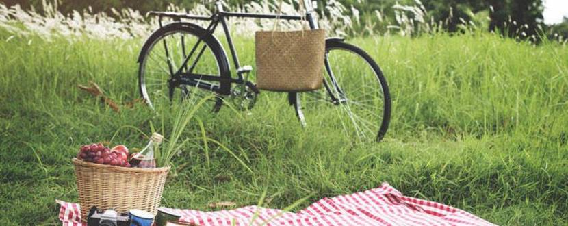 ВелоПікнік