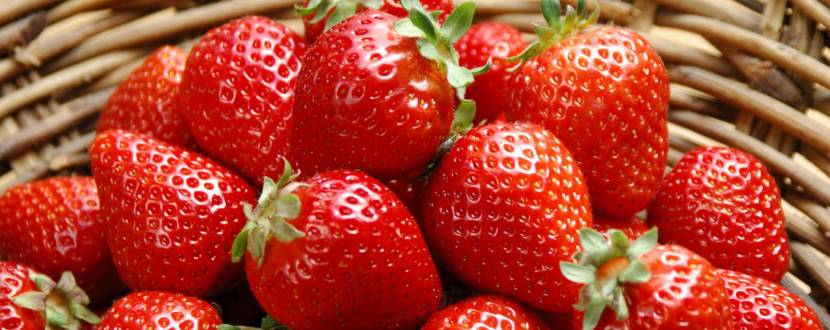 Ярмарок полуниць на Кіровоградщині