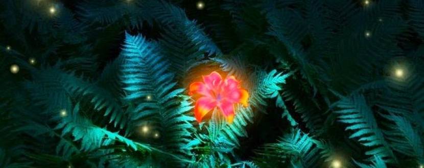 Сни Купальської ночі - арт-терапія на Кайзервальді