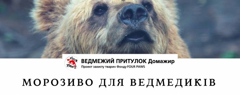 Морозиво для ведмедиків - екскурсія