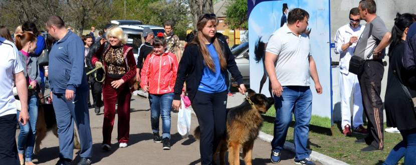 Міжнародна виставка собак усіх порід CACIB WKU "Кубок Фортеці Єлисавети 2018"