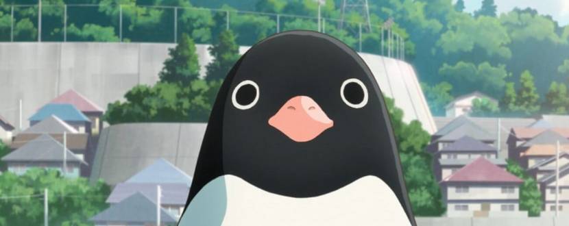 Пригодницьке фентезі - Таємне життя пінгвінів