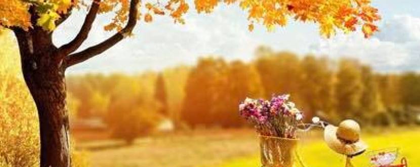 Художественные занятия «Осень-очей очарованье»