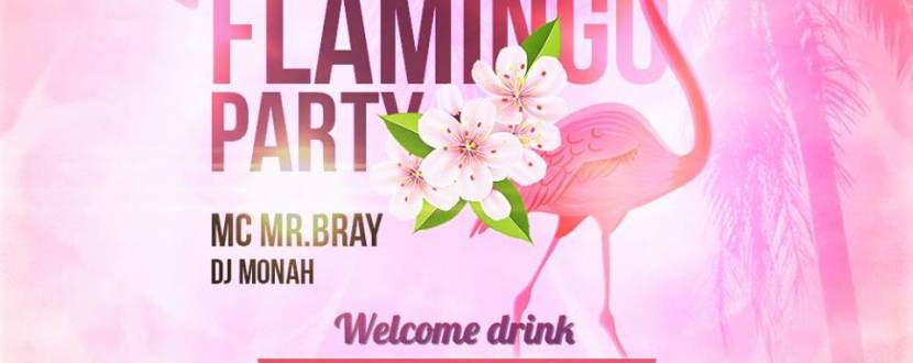 Flamingo party - Вечірка