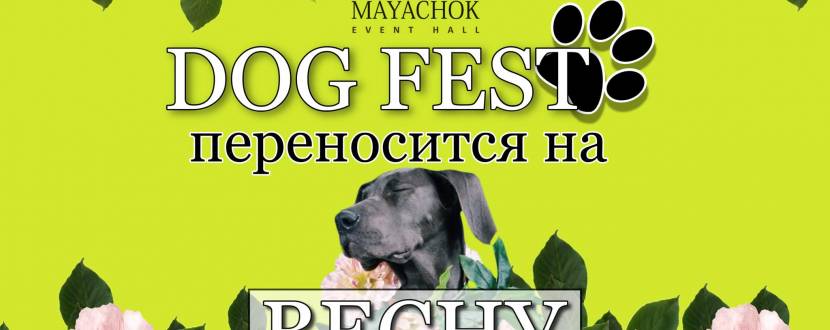 Mayachok Dog Fest - Фестиваль у Києві