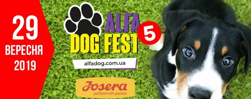 AlfaDogFest 2019 - Свято для собак та їхніх власників