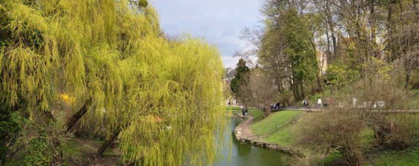 Пікнік у Стрийському парку