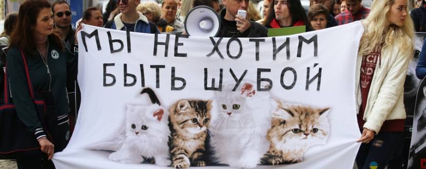 Всеукраїнський марш за тварин у Житомирі