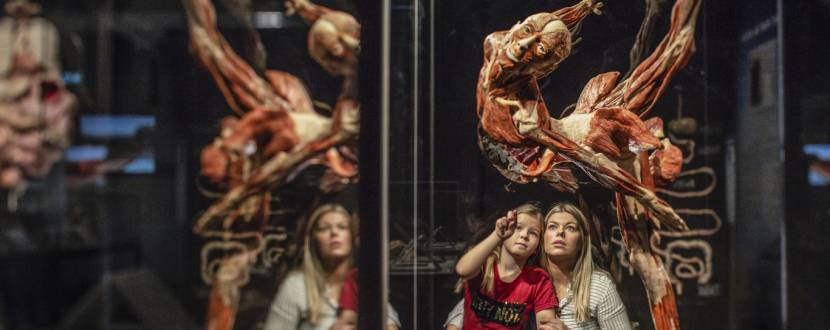 Всесвітньо відома виставка людських тіл у Києві