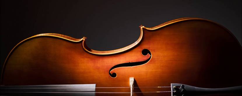 Голос скрипки - Вечір скрипкової музики