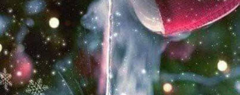 Новорічна Кава сМАК зі Світланою Вільчинською