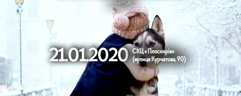 Флешмоб Обійми мене