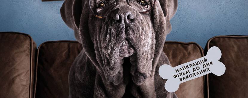 Мій пес Ідіот