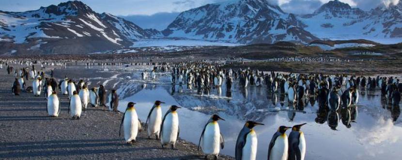Антарктида: життя серед снігу та криги - Лекція