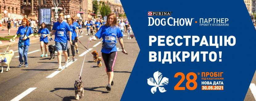 Пробіг із собакою у Києві