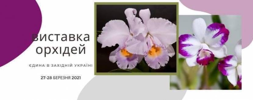 Виставка орхідей у Львові