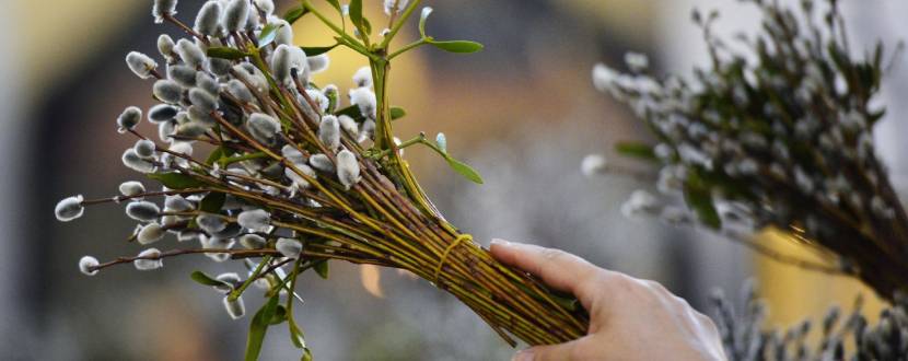 Розклад богослужінь на Вербну неділю