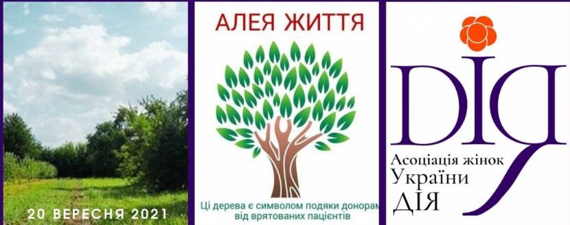 Акція #АлеяЖиття у Вінниці