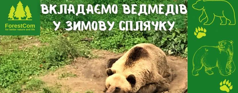 Вкладаємо ведмедів у зимову сплячку - Акція