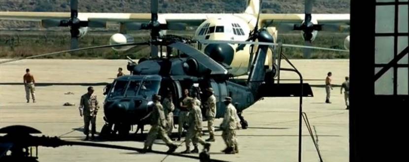 Чорний яструб