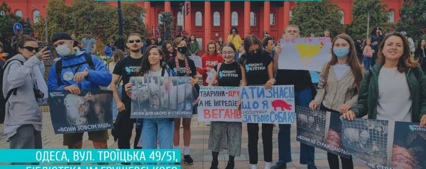 Знайомство з командою зоозахисної ГО «Відкриті клітки»