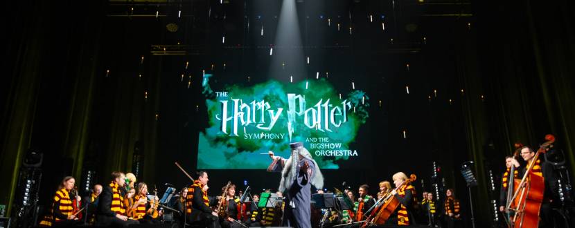 The Harry Potter symphony: Музика з кінофільмів у виконанні симфонічного оркестру